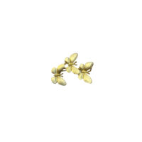 Broche mariposas concha vega