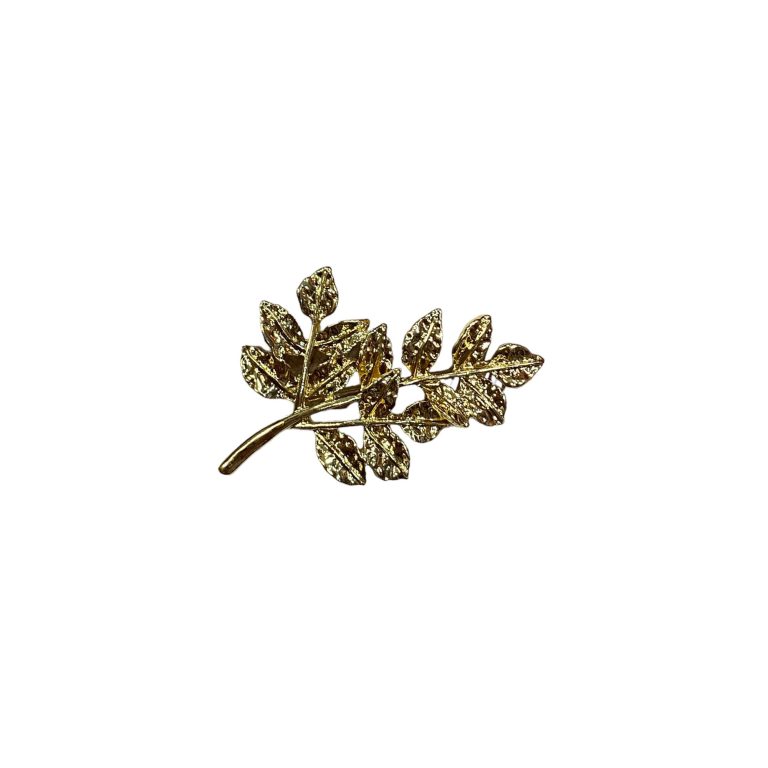 Broche Rama concha vega