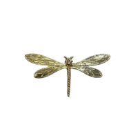 Broche Libelula Grande Brillo concha vega