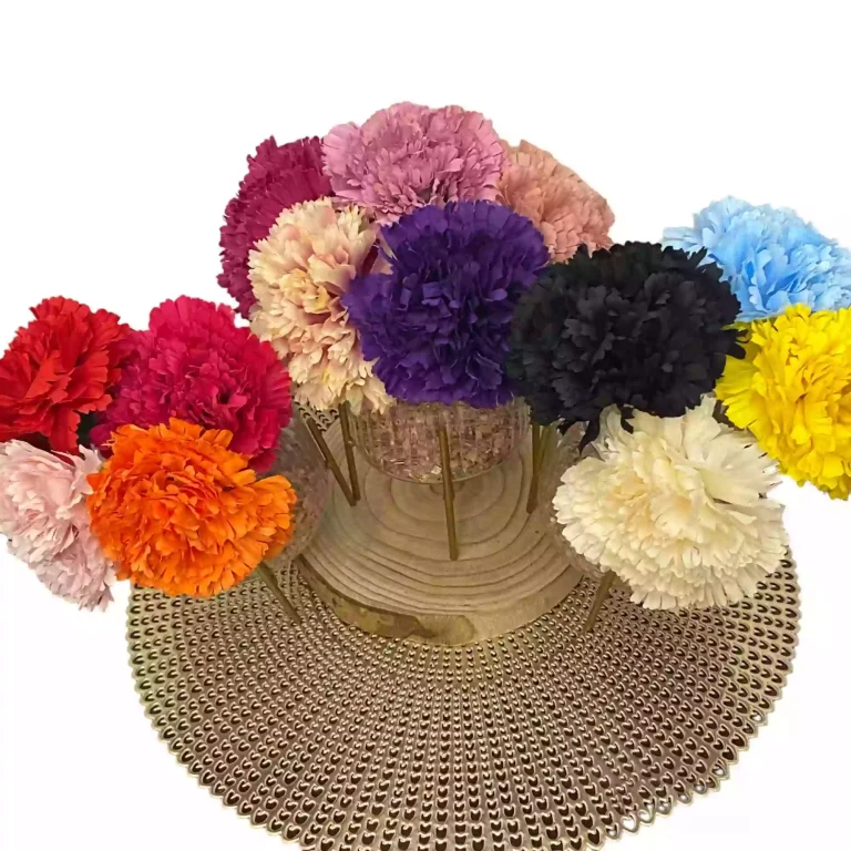 Maxi Clavel