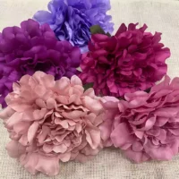 Peonia Mediana -Concha Vega