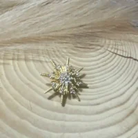 Broche Dorado - Concha Vega