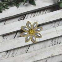 Broche Flamenca