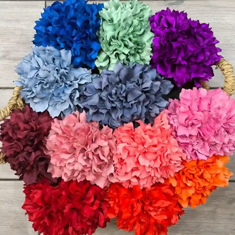 Ramillete Dalias