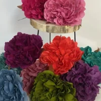 Peonia Liliana